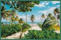 Best Costa Maya Beaches to Visit