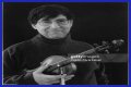 David Shapiro (musician)
