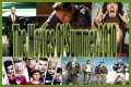 The Movies of Summer 2010