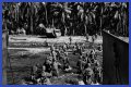 WWII's Most Daring Raids - Smithsonian Channel